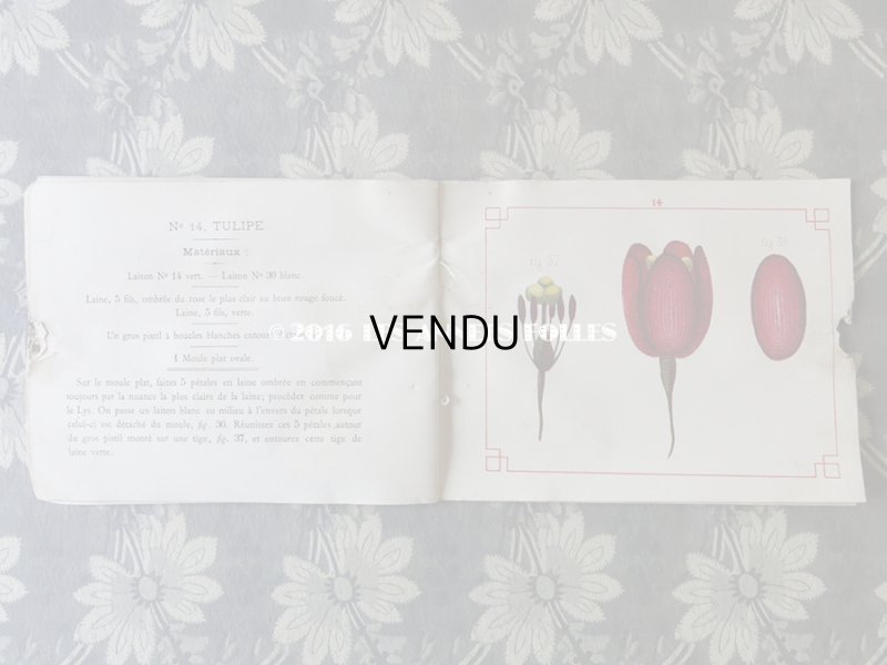 画像8: 19世紀末 アンティーク 毛糸で作る花のモチーフ 図案帳 MODELES DE FLEURS EN LAINE AVEC EXPLICATIONS DE A.ROUYER, EDITEUR, PARIS