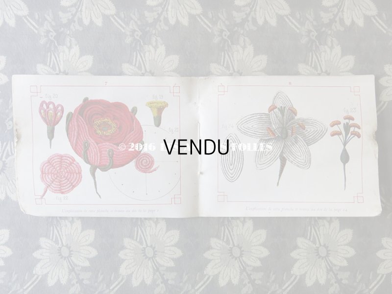 画像6: 19世紀末 アンティーク 毛糸で作る花のモチーフ 図案帳 MODELES DE FLEURS EN LAINE AVEC EXPLICATIONS DE A.ROUYER, EDITEUR, PARIS