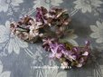 画像1: 19世紀末 アンティーク  シルク製ベルベット 紫の花のコサージュ (1)