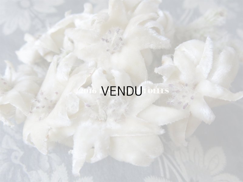 画像6: 1930年代 アンティーク  エーデルワイスのコサージュ