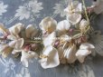 画像3: 1900年代 アンティーク 藤の花のコサージュ　ウィステリア