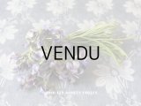 ★2016クリスマスセール対象外★ 1900年代 アンティーク 菫の花のコサージュ　34輪
