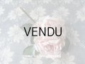 1900年代 アンティーク  薔薇のコサージュ