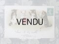 1910年代 アンティークポストカード 裁縫する子猫たち