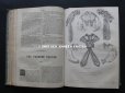 画像9: 1864年 アンティーク 本 版画付き モード新聞 JOURNAL DES DEMOISELLES