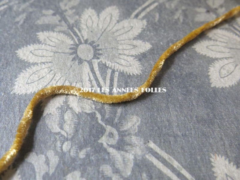 画像3: 1920年代 アンティーク  刺繍用 シルクベルベットの紐  シルク製シェニール糸　キャメル 20m　シュニーユ糸
