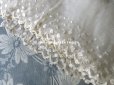 画像3: 19世紀 アンティーク シルク製 オーガンジーのレース 水玉 オフホワイト　2.4m