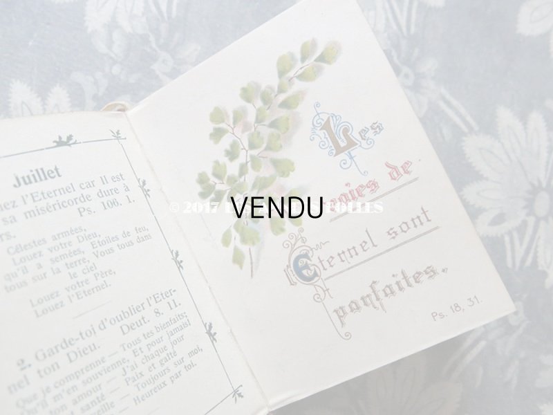 画像10: 1914年 アンティーク 本　天使&勿忘草のブーケ VERS LE CIEL