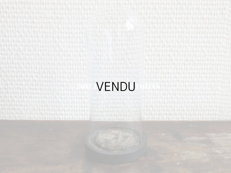 画像3:  アンティーク 極小サイズ ガラスドーム