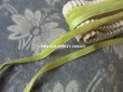 画像2: 19世紀末 アンティーク シルク製 ベルベット＆サテンリボン 5mm幅 ダブルフェイス 5.9m 若草色 (2)