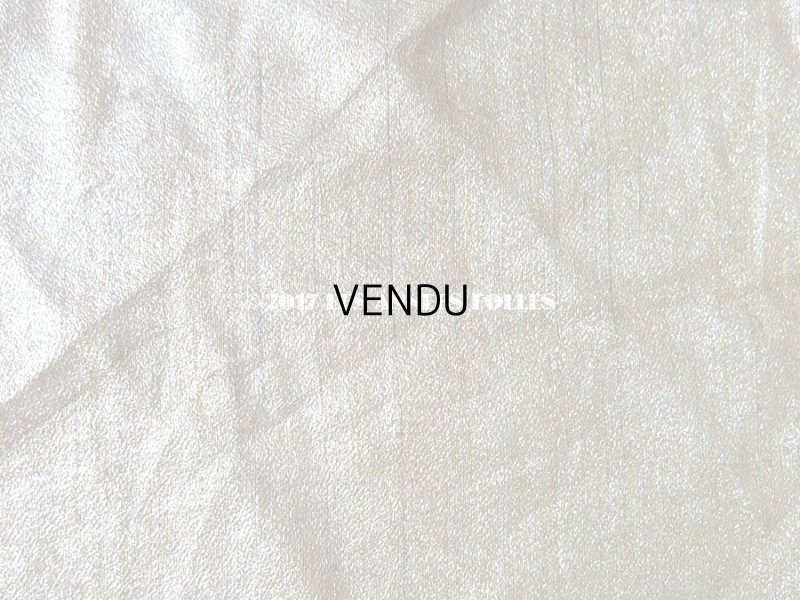 画像3: 1920年代 アンティーク メタル素材のファブリック シャンパンゴールド アールデコ  