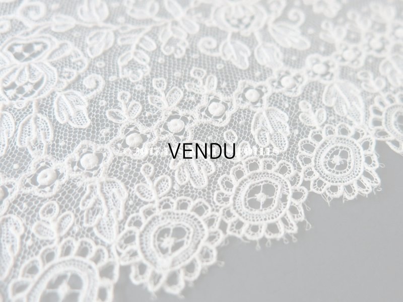 画像5: 19世紀末 未使用 アンティーク ニードルレース ポワンドガーズ 新品同様 『ポワン・ド・ガーズ』 135cm