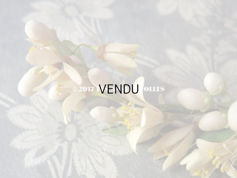 画像7: 1900年代 箱付き アンティーク ワックスフラワーのヘッドリース ウェディング 結婚式 ティアラ オレンジブロッサム