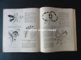 画像19: 1920年代 アンティーク 刺繍とレースの本 BRODERIE & DENTELLE LECONS PRATIQUES 2e EDITION PAR COUSINE CLAIRE - FRANCOIS TEDESCO, EDITEUR PARIS-