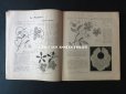 画像7: 1920年代 アンティーク 刺繍とレースの本 BRODERIE & DENTELLE LECONS PRATIQUES 2e EDITION PAR COUSINE CLAIRE - FRANCOIS TEDESCO, EDITEUR PARIS-