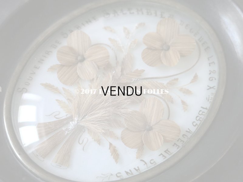 画像6: 1883年 アンティーク ルリケール 聖遺物のガラスドーム 木製フレーム