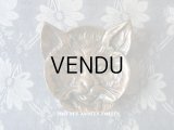 1900年代 アンティーク 猫の小物入れ