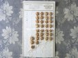 画像2: 19世紀 アンティーク シルク製 くるみボタン 13mm 6ピースのセット シャンパンゴールド (2)