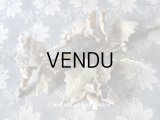 19世紀末 アンティーク  柊のコサージュ アイボリー色の実 - AU BON MARCHE -