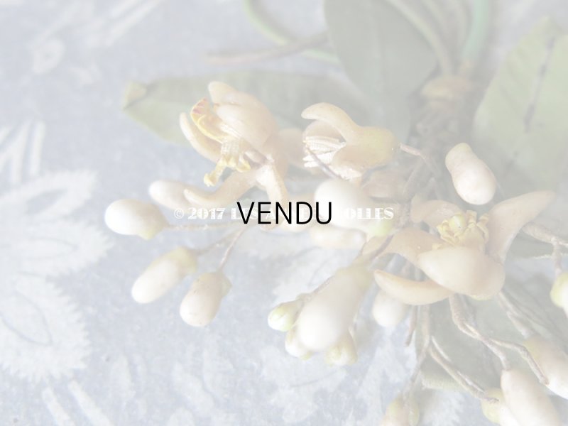 画像8: 1900年代 アンティーク ワックスフラワーのヘッドリース & ブローチ  結婚式 ウェディング ティアラ オレンジブロッサム