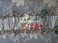 画像15: 18世紀 アンティーク シルク製 ジャガード織 リボン 花模様 