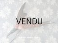 1900年代 アンティーク  帽子飾り 鳥の剥製