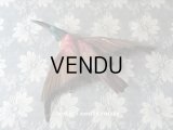 1900年代 アンティーク  帽子飾り 鳥の剥製