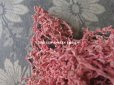 画像2: 【 2017クリスマスセール対象外 】 1920年代 アンティーク  刺繍用 シルクベルベットの紐  シルク製 シェニール糸 ピンク 約40m (2)