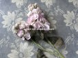 画像2: 1900年代 アンティーク　淡いピンクパープルの花のコサージュ 布花 (2)