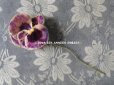 画像6: アンティーク  パンジーの布花 ベルベットのコサージュ