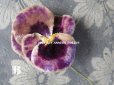 画像5: アンティーク  パンジーの布花 ベルベットのコサージュ