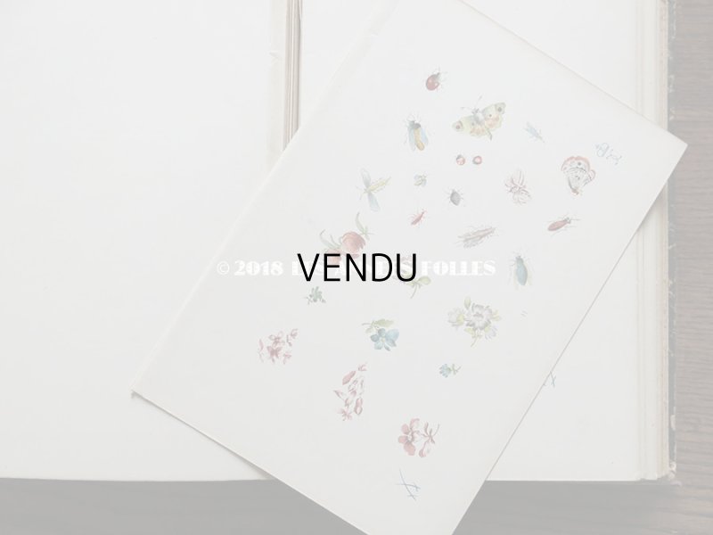 画像10: 19世紀　アンティーク 本 セラミック用 図案集 ロココ調の花模様 ルイ15世スタイル