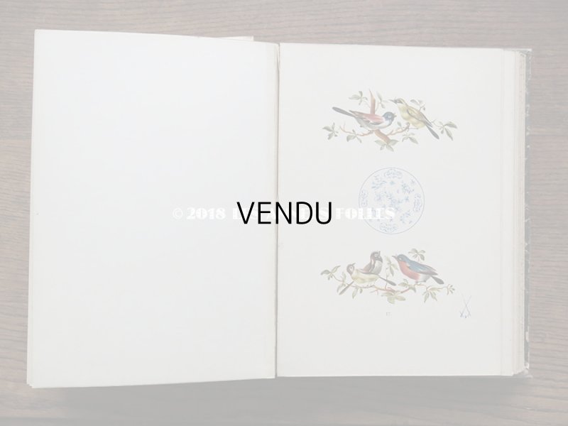 画像11: 19世紀　アンティーク 本 セラミック用 図案集 ロココ調の花模様 ルイ15世スタイル