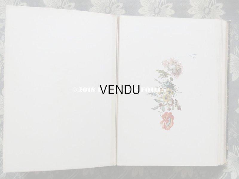 画像9: 19世紀　アンティーク 本 セラミック用 図案集 ロココ調の花模様 ルイ15世スタイル