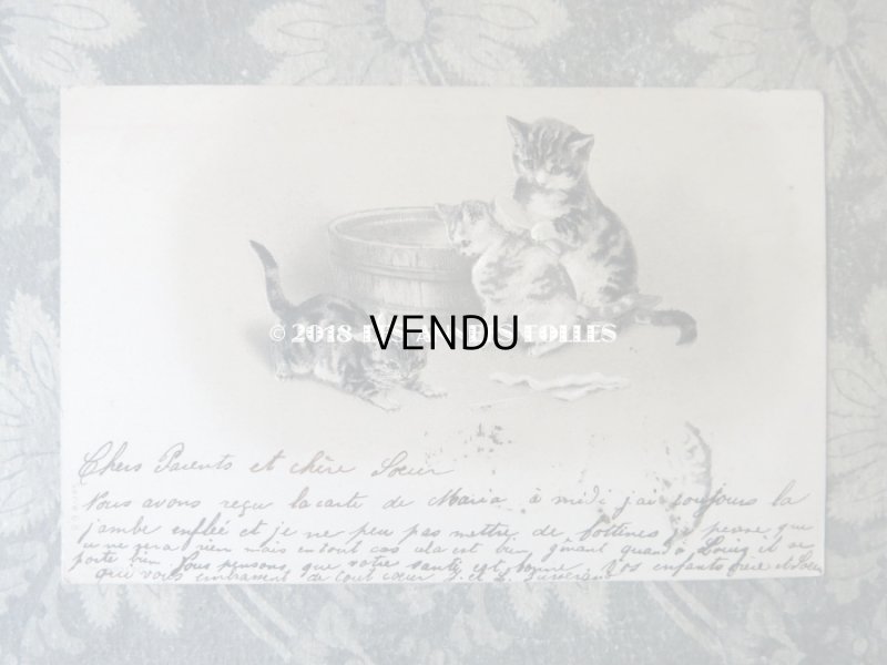 画像2: 1904年代 アンティーク ポストカード 猫の親子