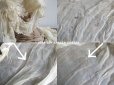 画像7: アンティーク マリアージュのヘッドドレス　シルクオーガンジーのフリル