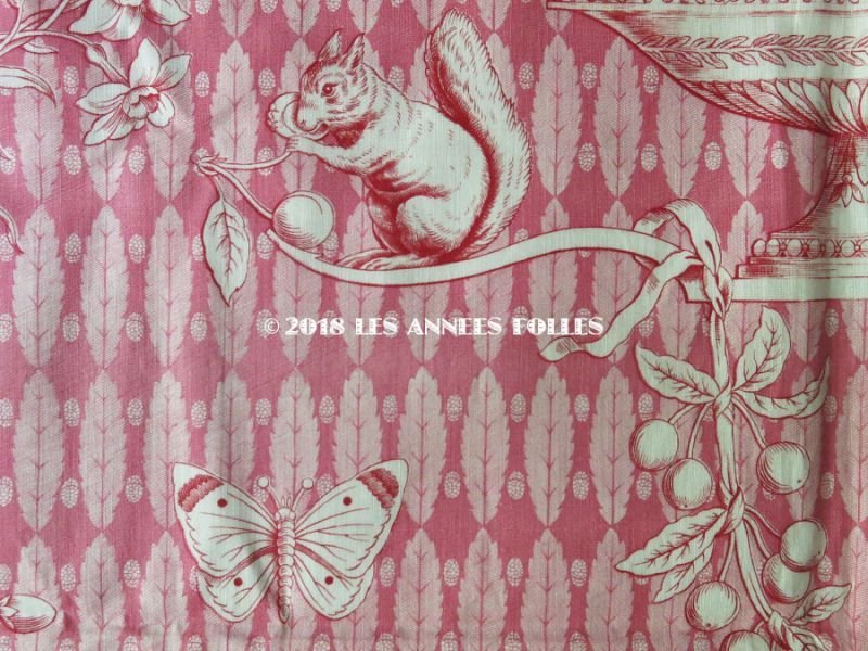 画像4: 未使用 1900年代 アンティーク 天使＆栗鼠＆蝶々 コットン製ファブリック  100×78cm