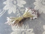 アンティーク ペップ  ラベンダー & ホワイト コサージュ用 花芯 