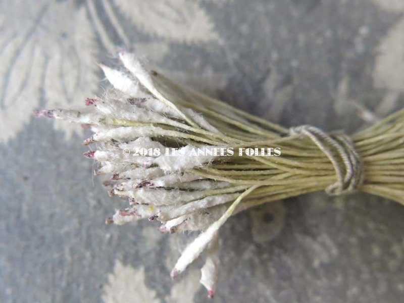 画像4: アンティーク ペップ  ラベンダー & ホワイト コサージュ用 花芯 