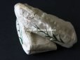 画像6: 18世紀 アンティーク  シルク製 ベビー用シューズ  白百合の刺繍入り 