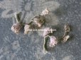 画像5: アンティーク ロココ調 淡いピンクの薔薇のモチーフのセット (5)