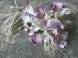 画像2: アンティーク 薄紫の花のコサージュ (2)