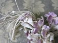 画像3: アンティーク 薄紫の花のコサージュ (3)