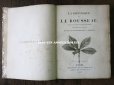 画像3: 1805年 初版 薔薇の画家 ルドゥテの植物画 65枚【 ジャン=ジャック・ルソーの植物学 】 BOTANIQUE DE J.J.ROUSSEAU