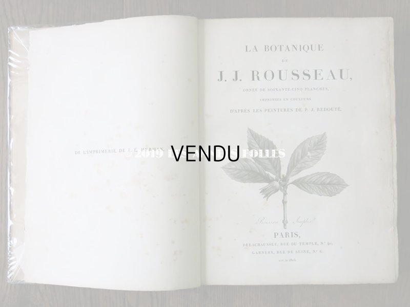 画像4: 1805年 初版 薔薇の画家 ルドゥテの植物画 65枚【 ジャン=ジャック・ルソーの植物学 】 BOTANIQUE DE J.J.ROUSSEAU
