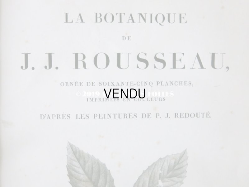画像5: 1805年 初版 薔薇の画家 ルドゥテの植物画 65枚【 ジャン=ジャック・ルソーの植物学 】 BOTANIQUE DE J.J.ROUSSEAU