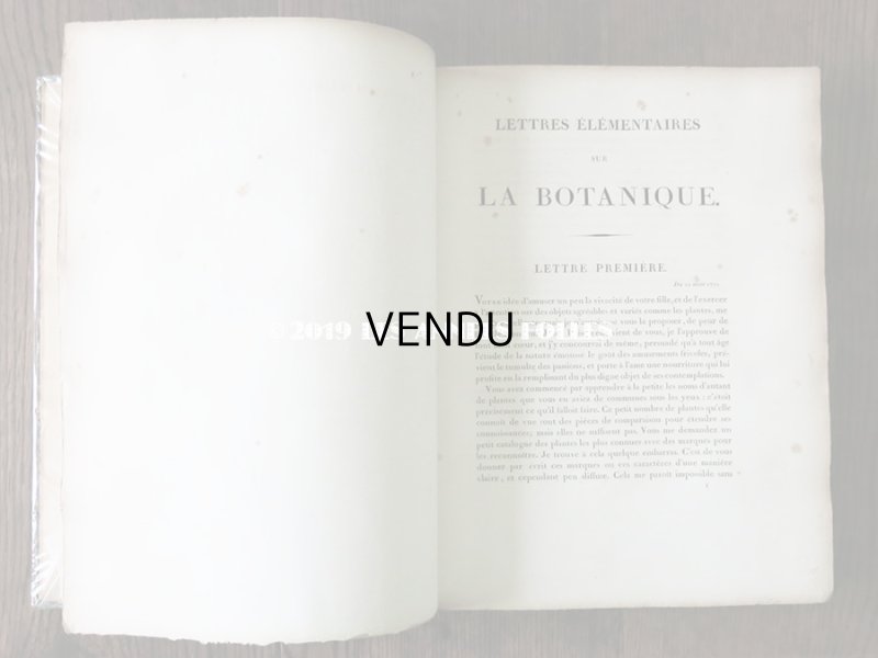 画像7: 1805年 初版 薔薇の画家 ルドゥテの植物画 65枚【 ジャン=ジャック・ルソーの植物学 】 BOTANIQUE DE J.J.ROUSSEAU