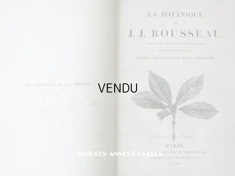 画像1: 1805年 初版 薔薇の画家 ルドゥテの植物画 65枚【 ジャン=ジャック・ルソーの植物学 】 BOTANIQUE DE J.J.ROUSSEAU