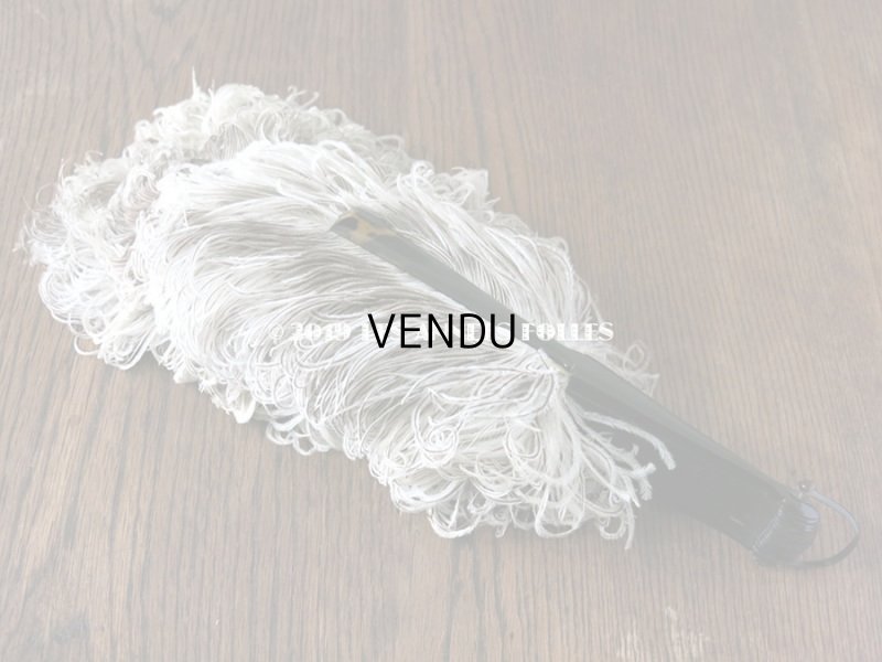 画像6: 1900年代 アンティーク フェザーのファン フェザー＆べっ甲柄のベークライト製