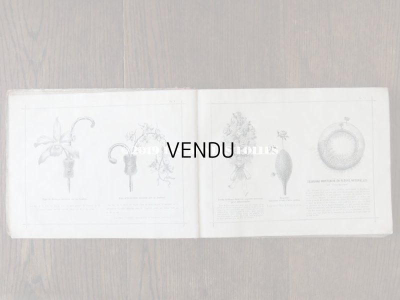 画像6: 1900年代 アンティーク 花屋 フルリストのアルバム ALBUM DU FLEURIST